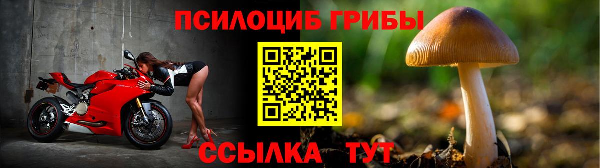 Галлюциногенные грибы Cubensis Октябрьский